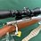 weatherby-vanguard-270-win-rifle-image-3