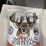 imperial-whitetail,-food-plot-seed-image-3