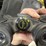 2-binoculars-image-3