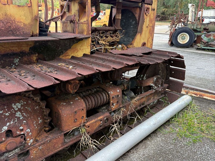 international-crawler-image-24