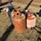 #37672-•-lot-of-(3)-propane-bottles-image-3