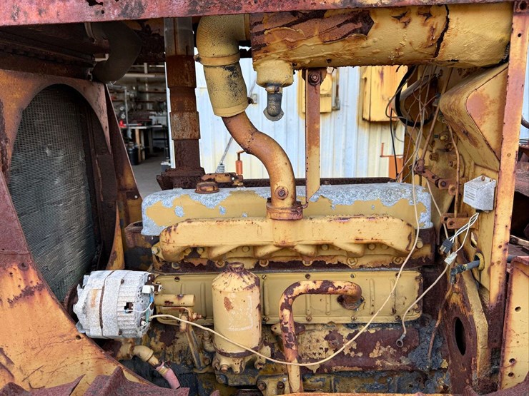 international-crawler-image-14