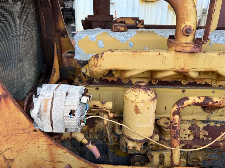 international-crawler-image-15