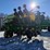 john-deere-1790-ccs-image-6