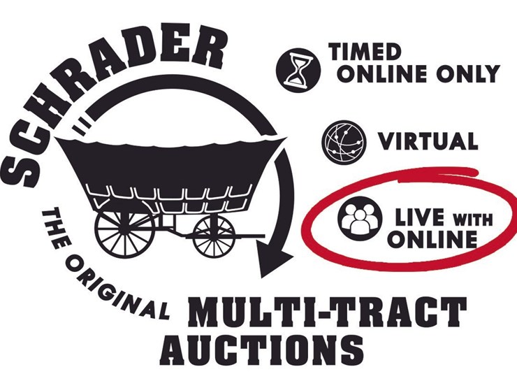 removed-from-auction-image-1