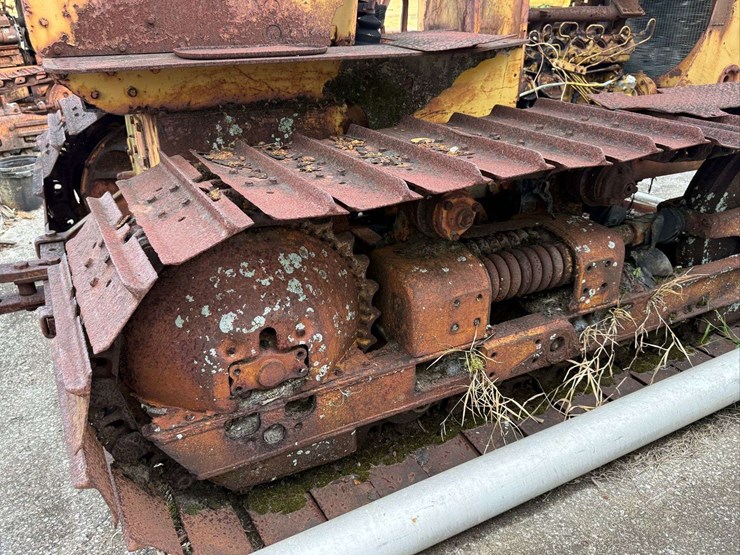 international-crawler-image-23