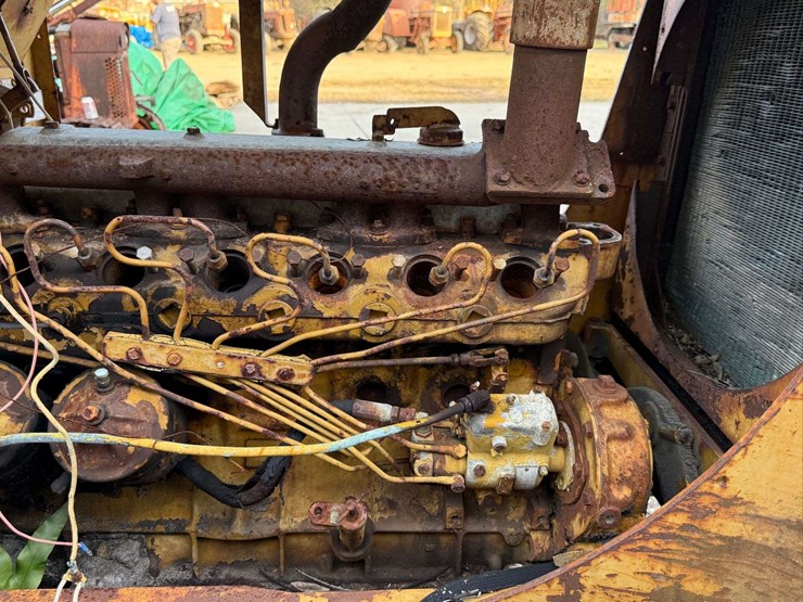 international-crawler-image-12