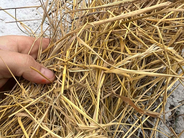 2024-john-deere-561m-image-7