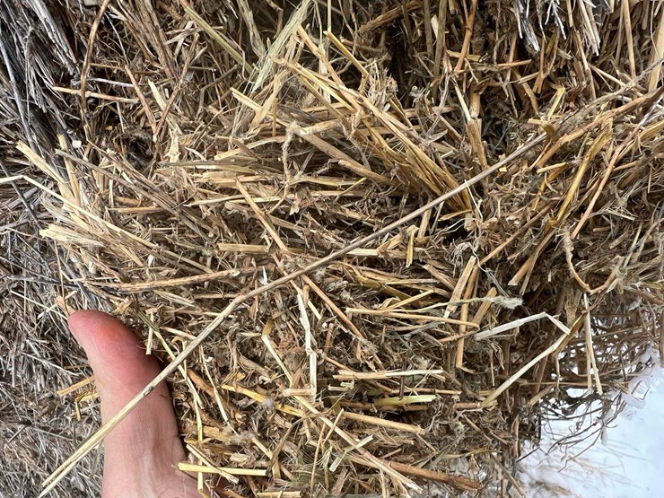 2025-alfalfa-mix-hay-image-6