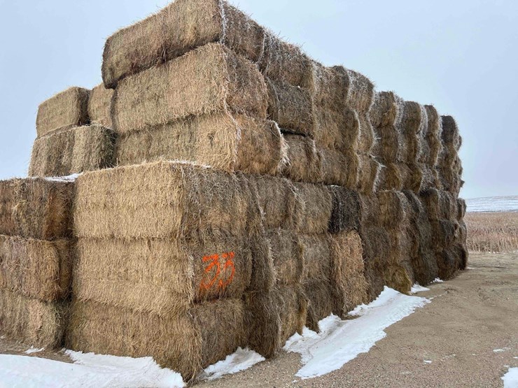 2025-alfalfa-mix-squares-image-1