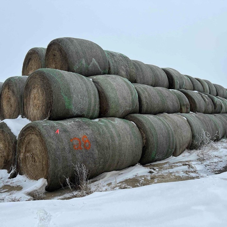 2024 JOHN DEERE 561M