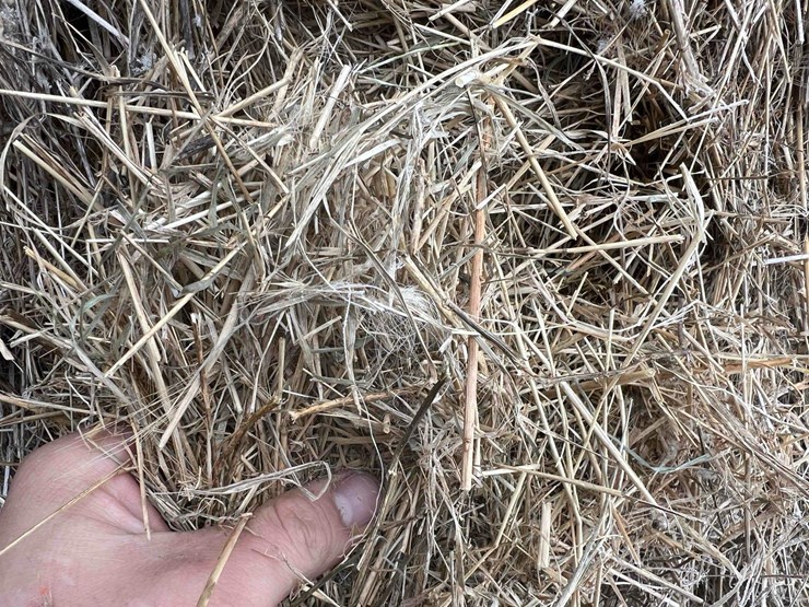 2024-grass-hay-image-8