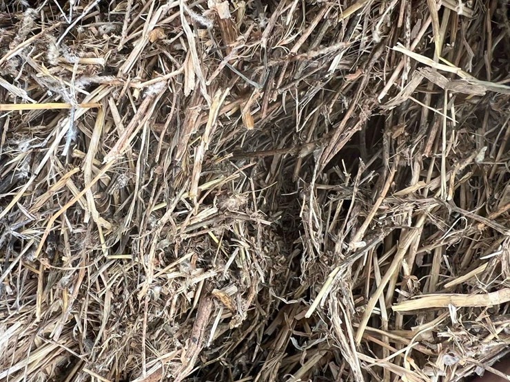 2025-alfalfa-mix-hay-image-4