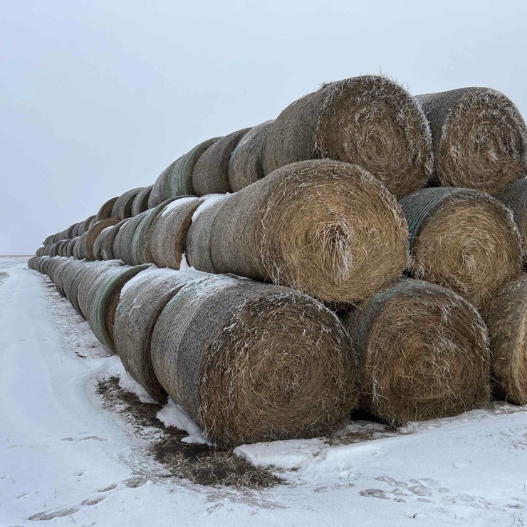 2025 JOHN DEERE 561M