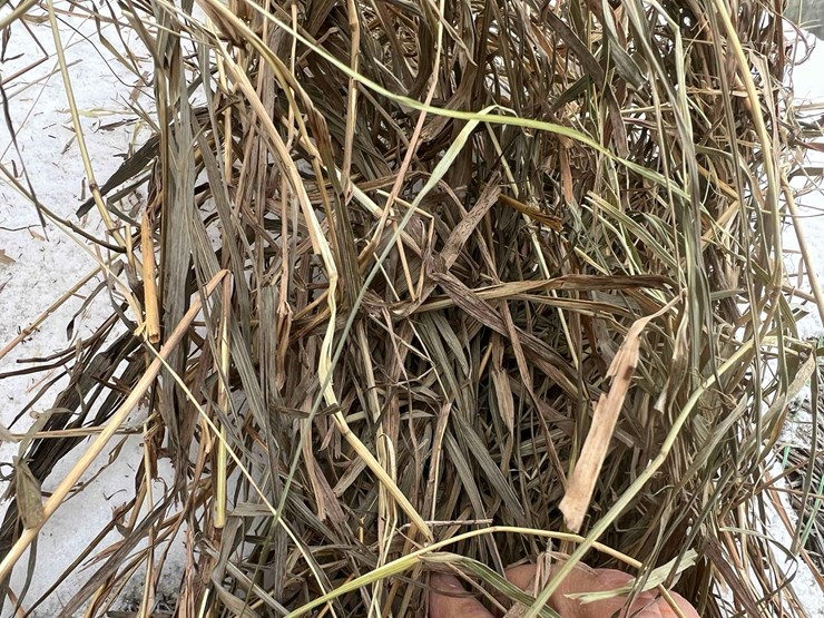 2024-john-deere-561m-image-4