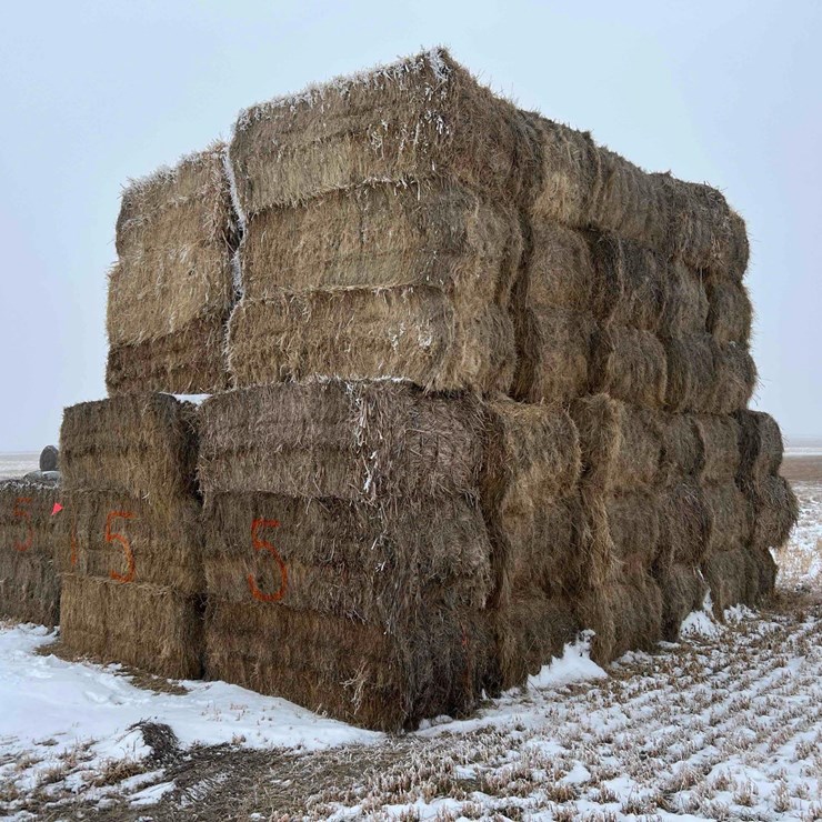 2025 Grass Hay