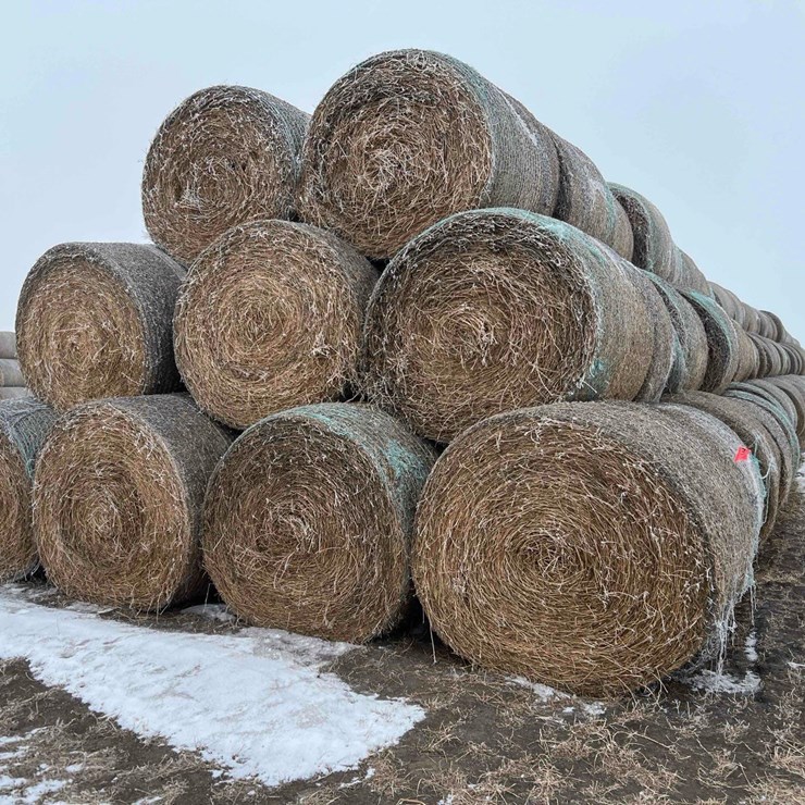 2025 JOHN DEERE 561M