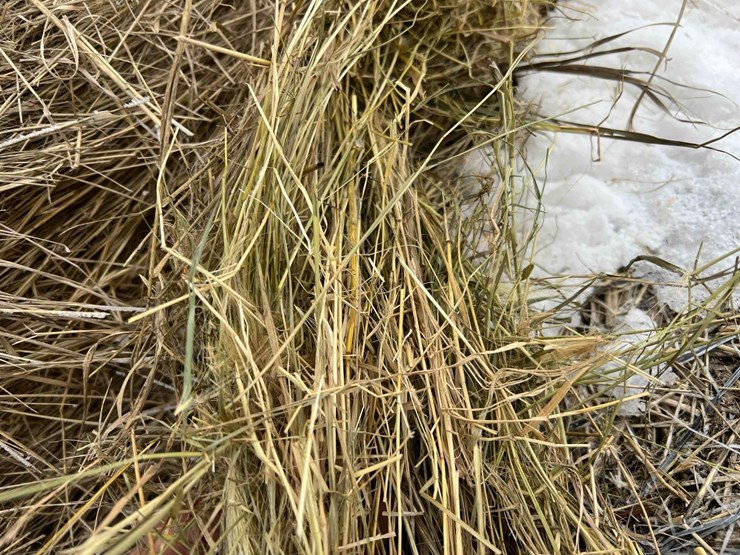 2025-john-deere-561m-image-20