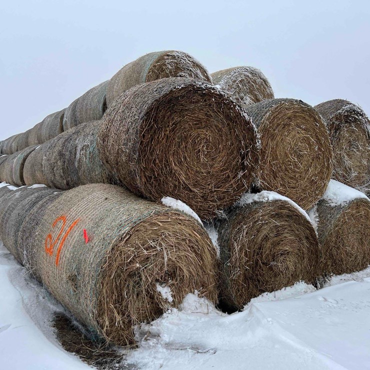 2025 JOHN DEERE 561M