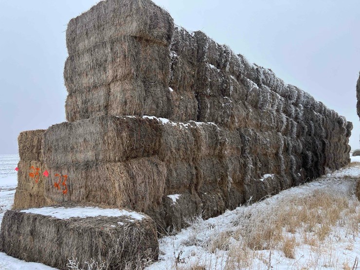 2024-grass-hay-image-3