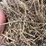 2025-alfalfa-mix-hay-image-5