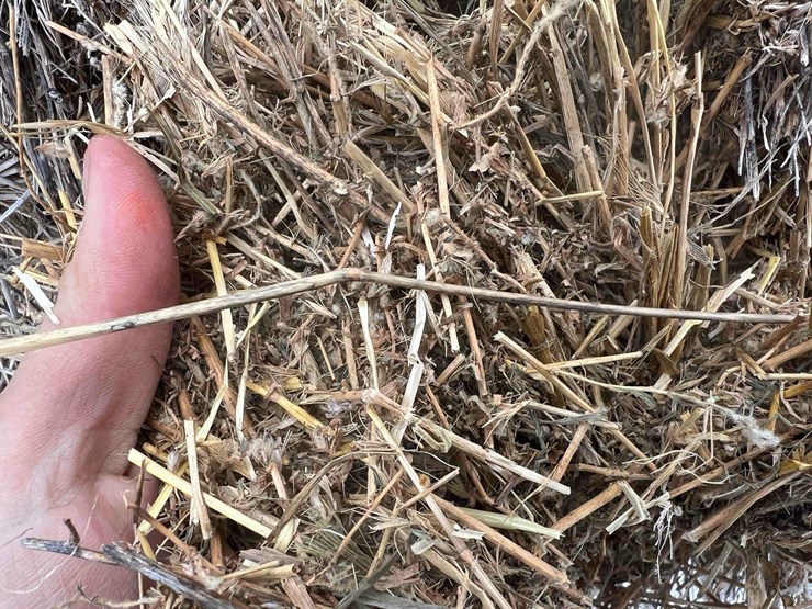 2025-alfalfa-mix-hay-image-5
