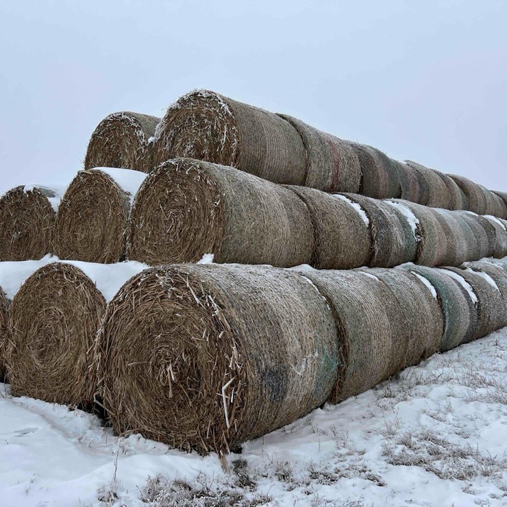 2025 JOHN DEERE 561M