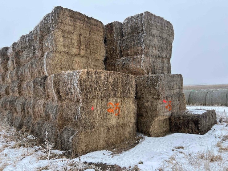 2024-grass-hay-image-6