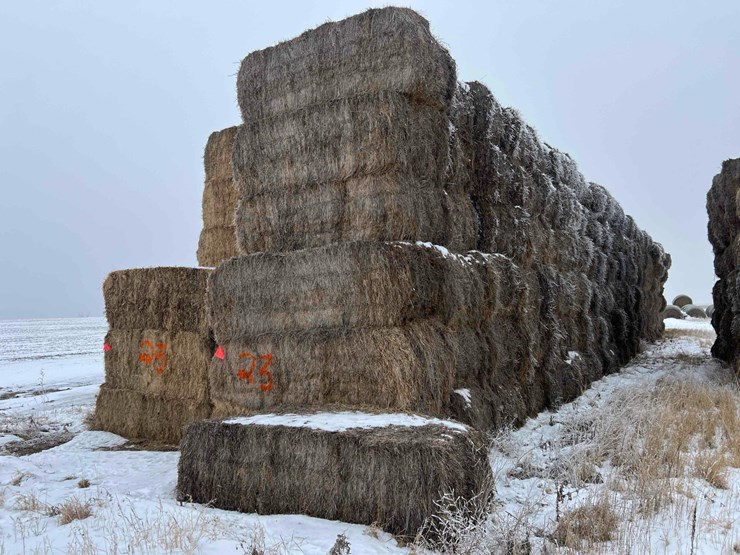 2024-grass-hay-image-4
