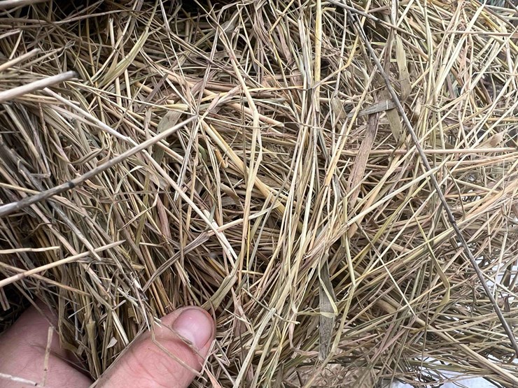 2024-john-deere-561m-image-6