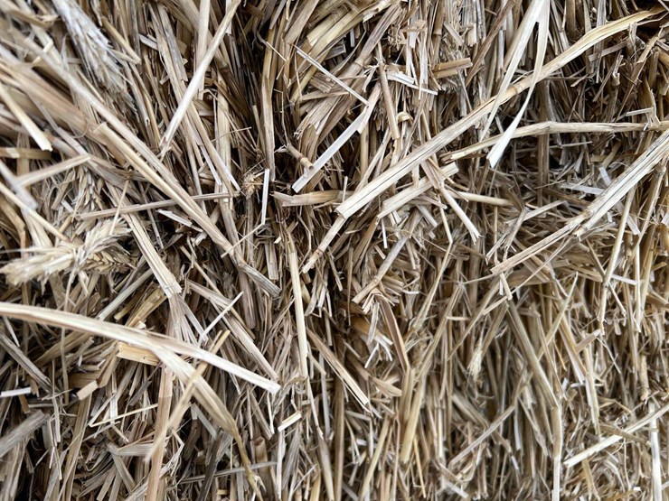 2025-straw-squares-image-4