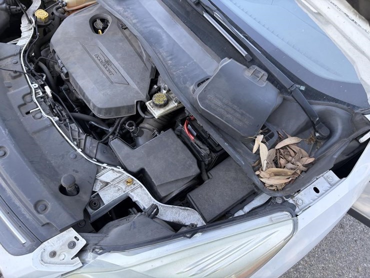 2014-ford-escape-image-19