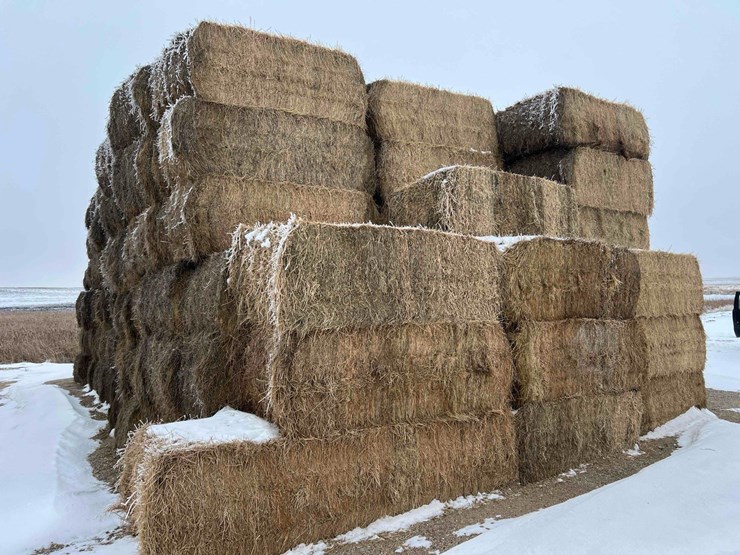 2025-alfalfa-mix-squares-image-5