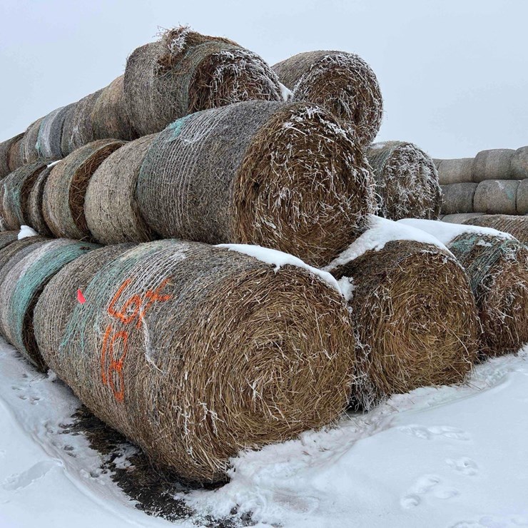 2025 JOHN DEERE 561M