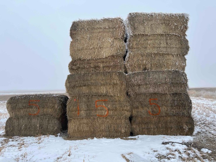 2025-grass-hay-image-2