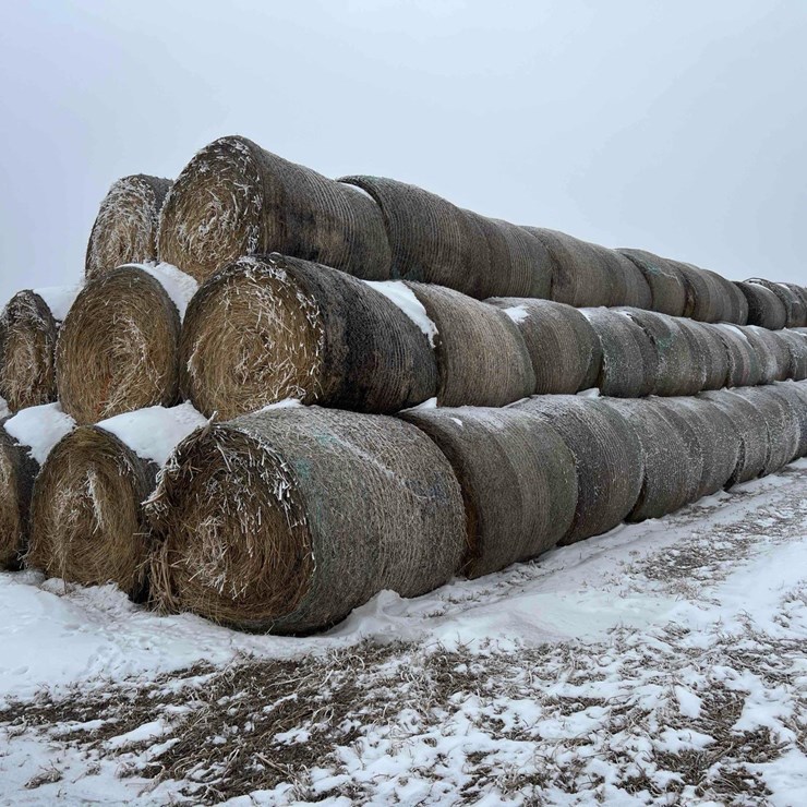 2025 JOHN DEERE 561M