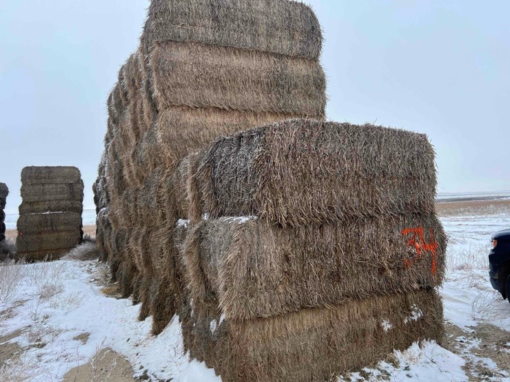 2025-grass-squares-image-9