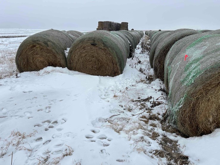 2024-john-deere-561m-image-5