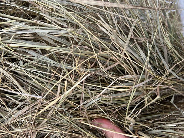 2025-john-deere-561m-image-10