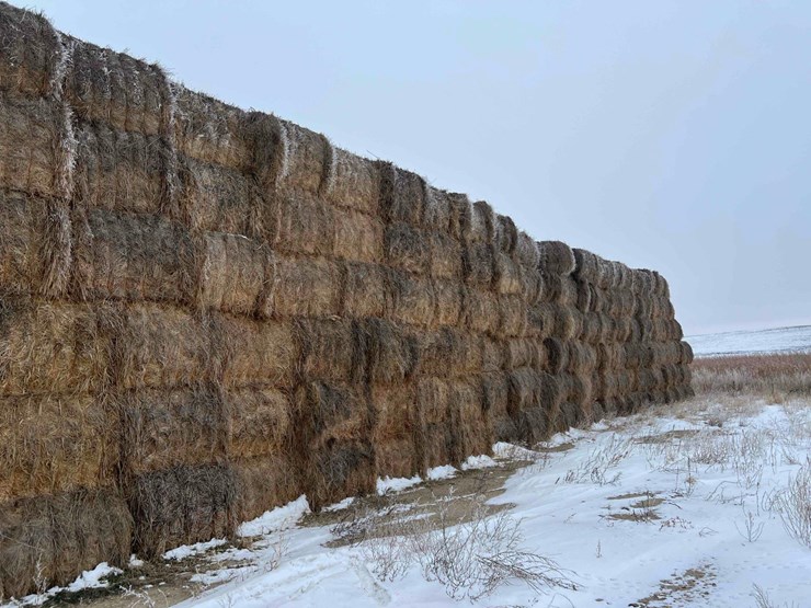 2025-grass-squares-image-8