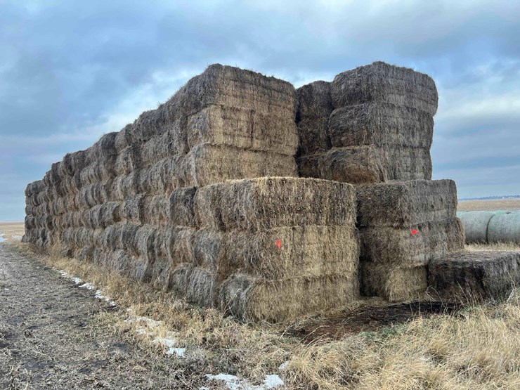 2024-grass-hay-image-1