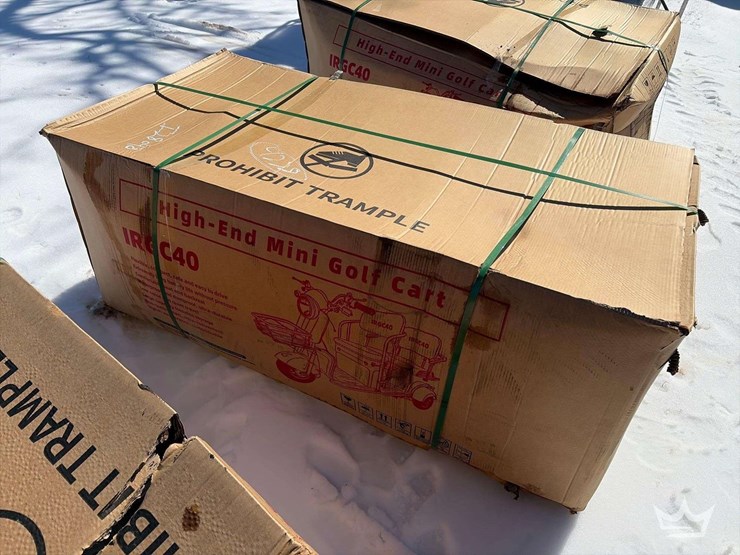 2025-sdlanch-irgc40-two-seat-electric-tricycle-image-1