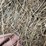 2024-grass-hay-image-9