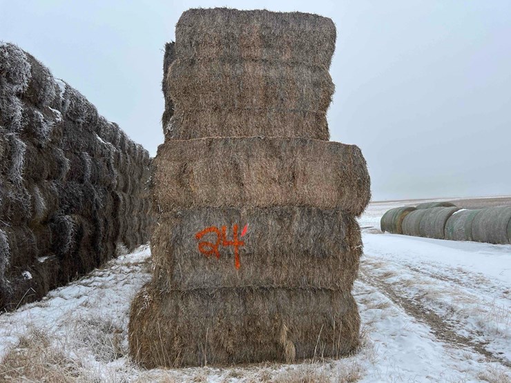 2025-alfalfa-mix-hay-image-2