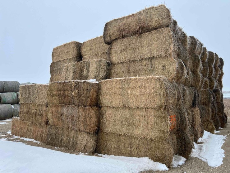 2025-alfalfa-mix-squares-image-2