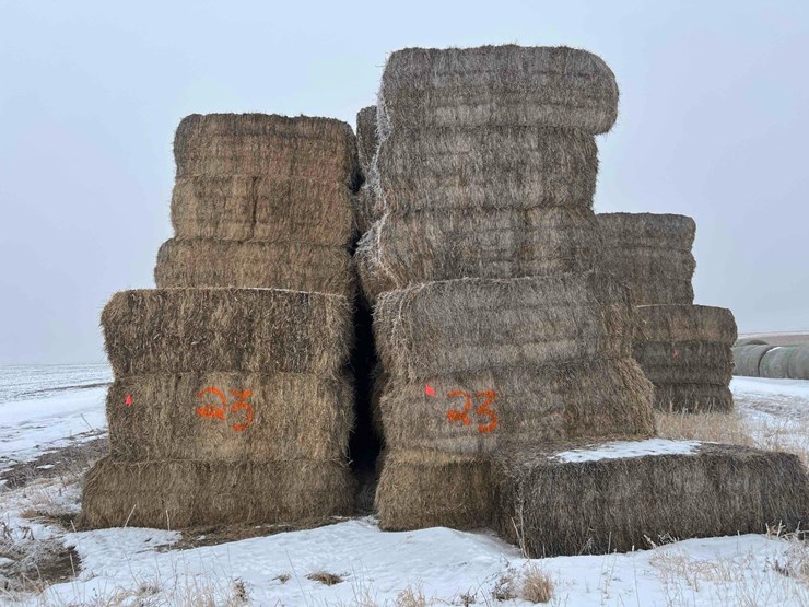 2024-grass-hay-image-2