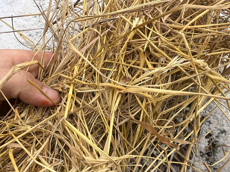 2024-john-deere-561m-image-8