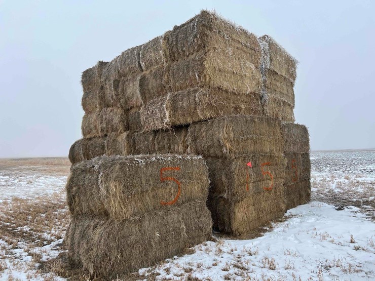 2025-grass-hay-image-3