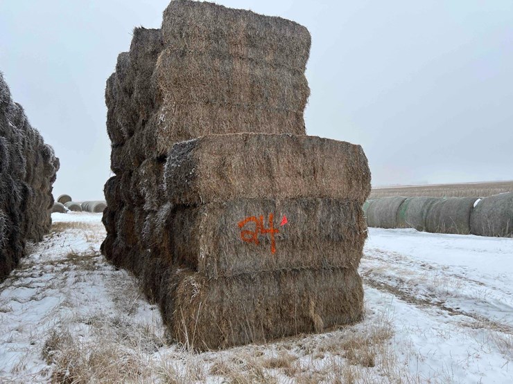 2025-alfalfa-mix-hay-image-1