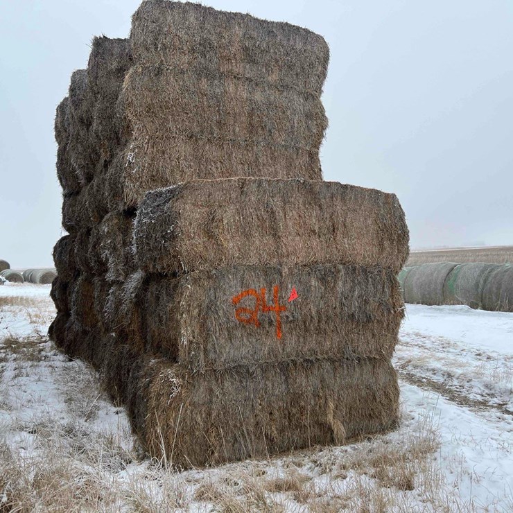 2025 Alfalfa Mix Hay